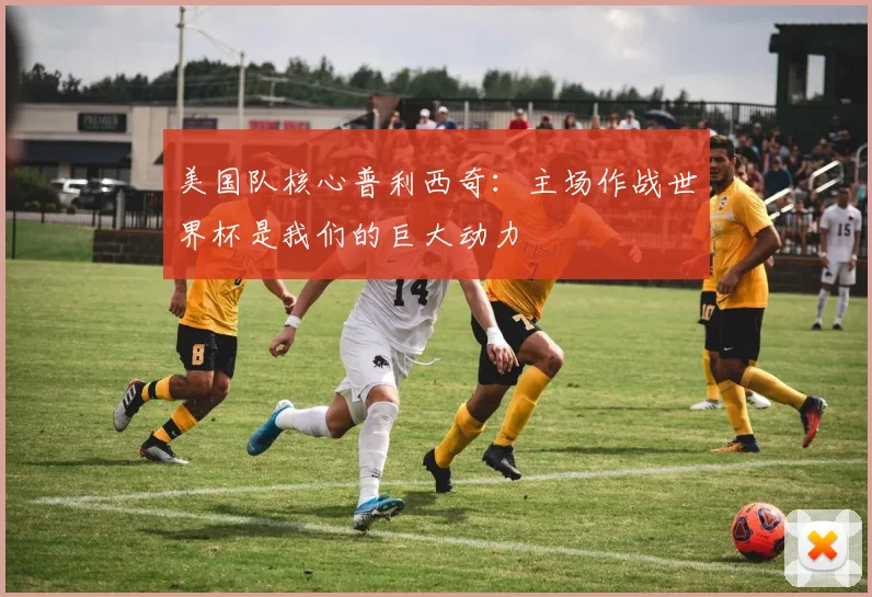 美国队核心普利西奇:主场作战世界杯是我们的巨大动力
