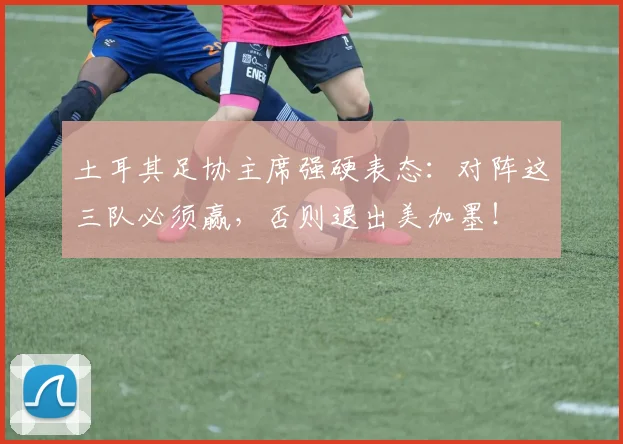 土耳其足协主席强硬表态:对阵这三队必须赢,否则退出美加墨!
