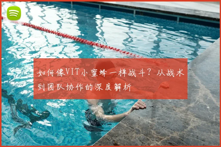 如何像VIT小蜜蜂一样战斗?从战术到团队协作的深度解析