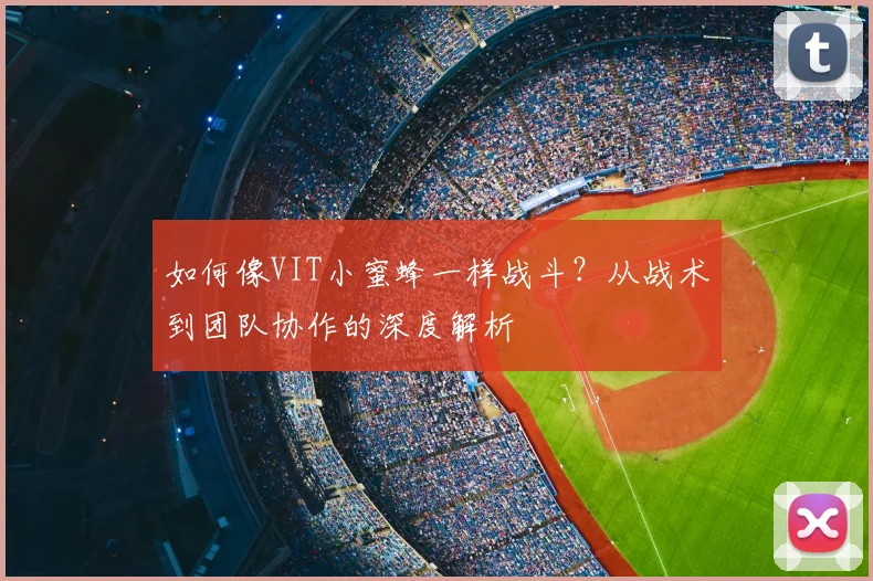 如何像VIT小蜜蜂一样战斗？从战术到团队协作的深度解析