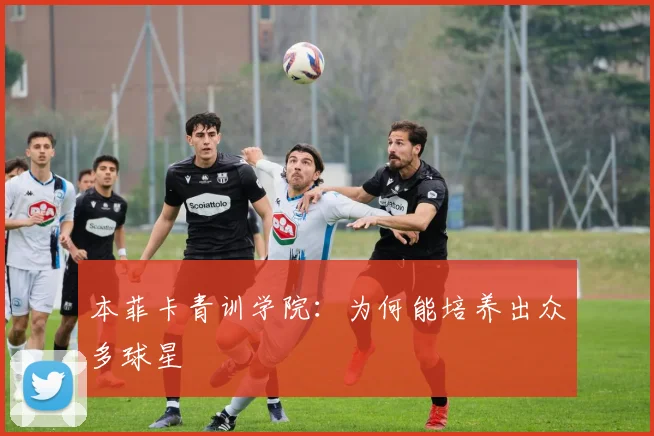 本菲卡青训学院：为何能培养出众多球星
